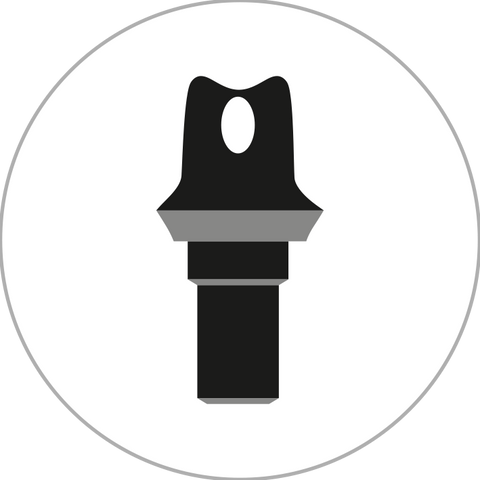 Individuelles Abutment Original Camlog (Altatec)