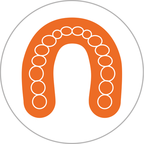 Dentalmodell (Resin / 3D-Druck)