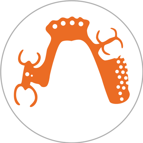 Modellguss-Prothese aus CoCr oder Peek